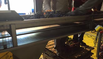 Sendas del Vino